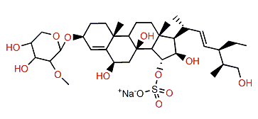 Echinasteroside D